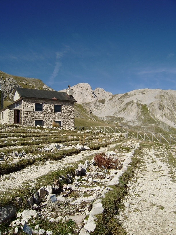 1_Il Giardino Alpino di Campo Imperatore sullo sfondo il Corno Grande