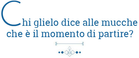 chi_glielo_dice_alle_mucche