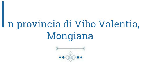 In_provincia_di_vibo_valentia