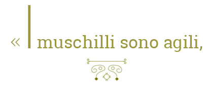 i_muschilli_sono_agili