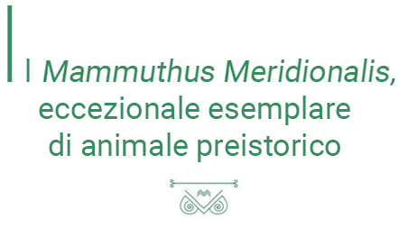 mammuthus_meridiionalis